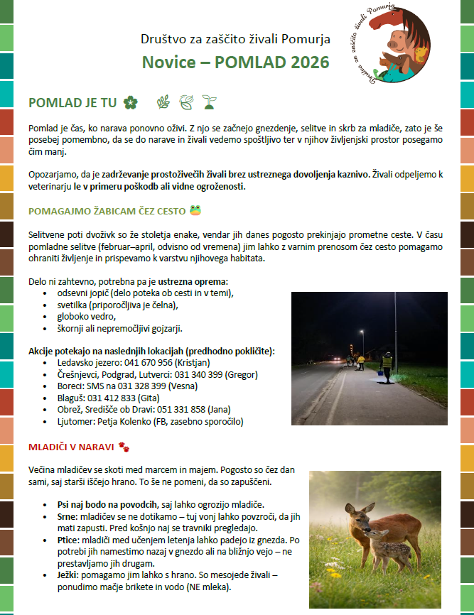 Posnetek zaslona 2026-03-06 075420